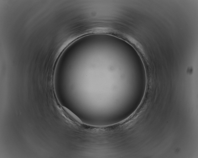 X0000091181473200708231517