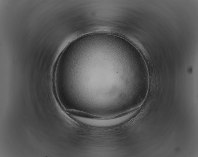 X0000091181475200708231517