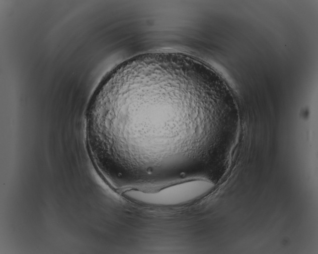 X0000091181476200708231517