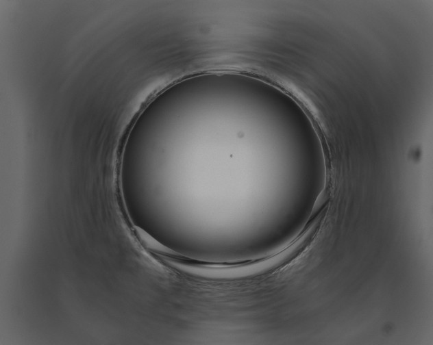X0000091181477200708231517