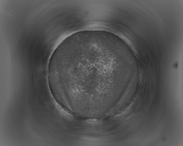 X0000091181478200708231517