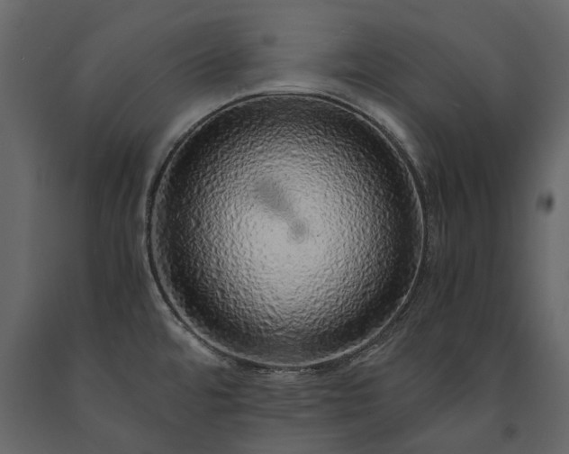 X0000091181480200708231517