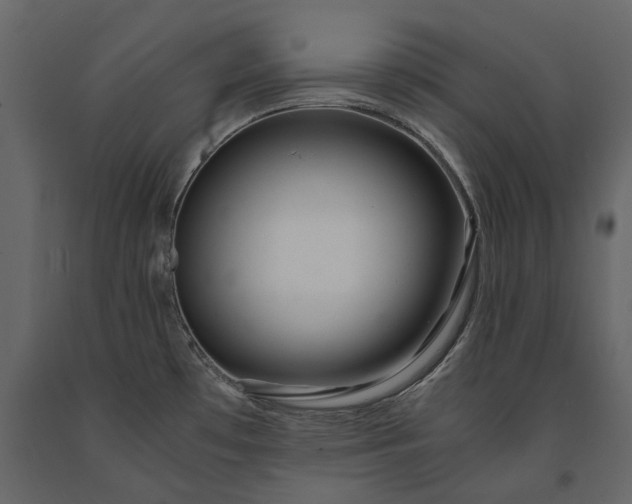 X0000091181481200708231517