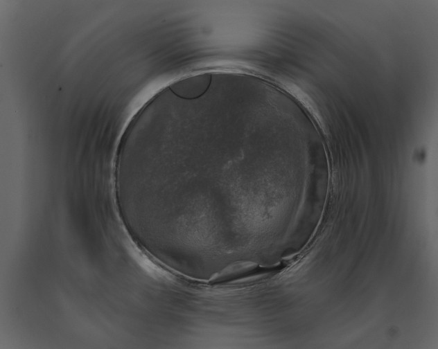 X0000091181482200708231517