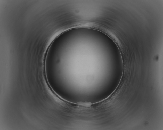 X0000091181483200708231517