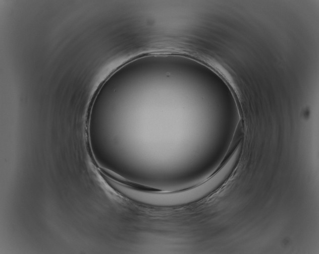 X0000091181485200708231517
