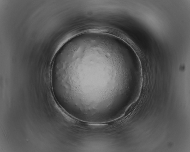 X0000091181487200708231517