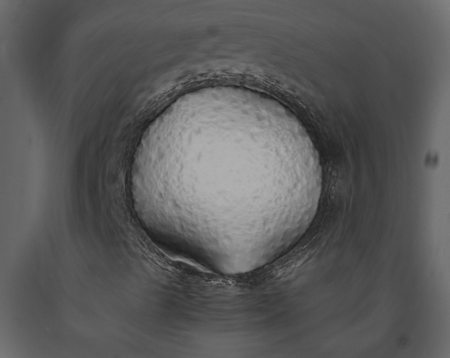 X0000091181489200708231516