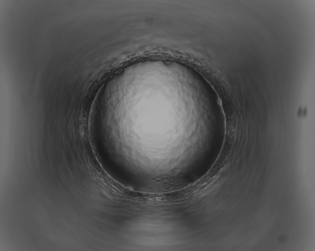 X0000091181490200708231516