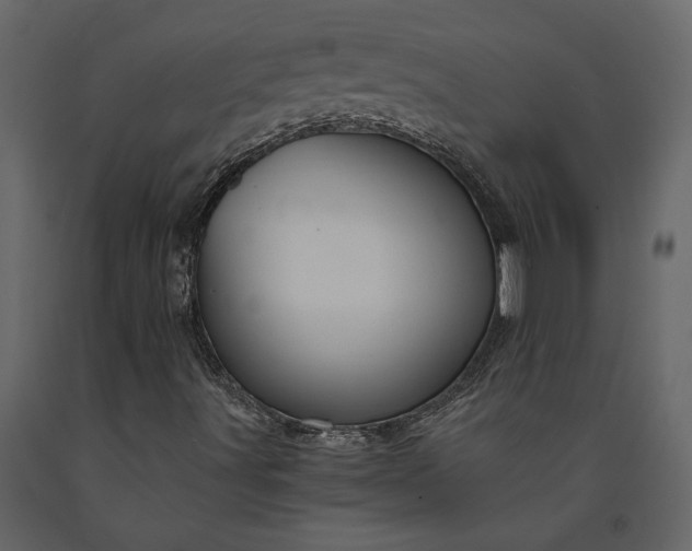 X0000091181491200708231516