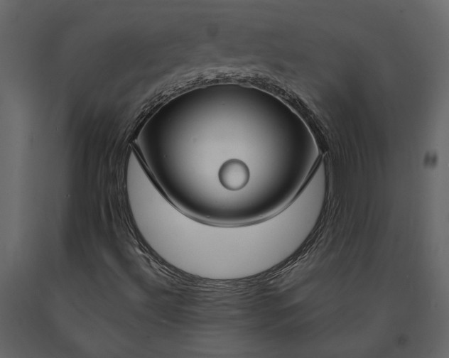 X0000091181492200708231516