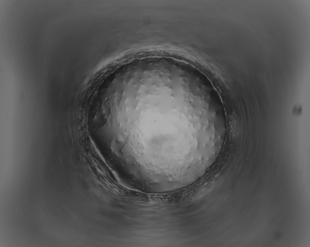X0000091181494200708231516