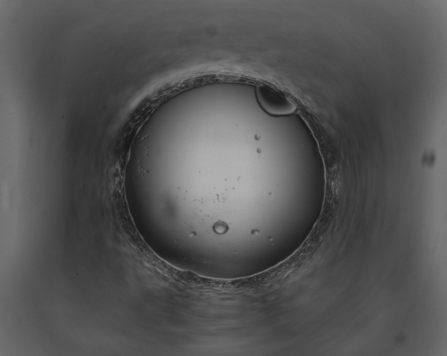X0000091181495200708231516