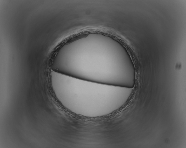 X0000091181496200708231516