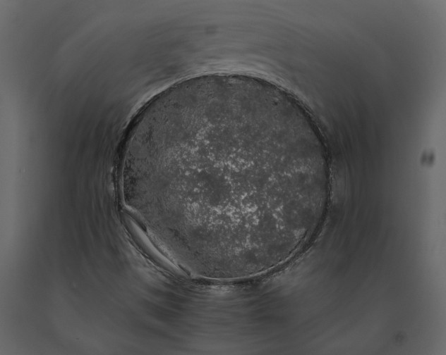 X0000091181497200708231516