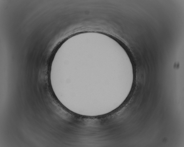 X0000091181498200708231516