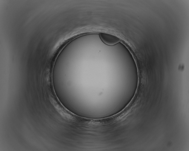 X0000091181499200708231516