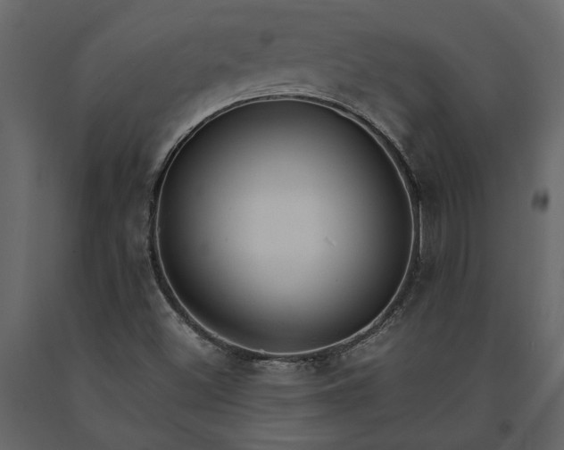 X0000091181500200708231516