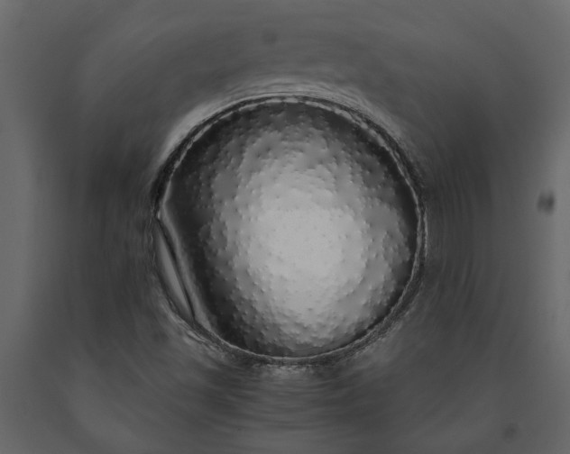 X0000091181501200708231516