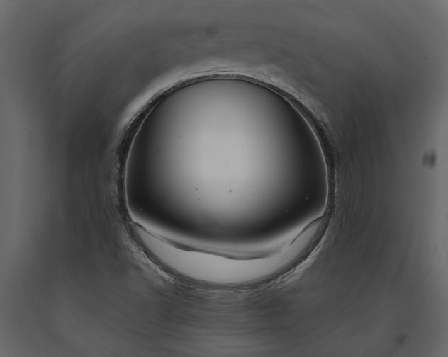 X0000091181502200708231516