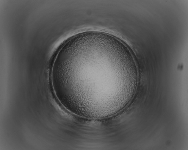 X0000091181503200708231516