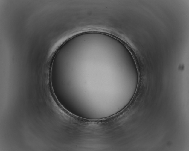 X0000091181504200708231516