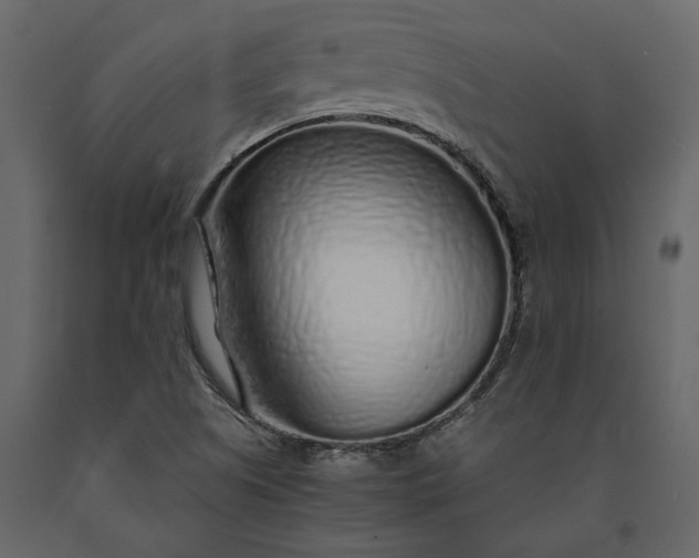 X0000091181505200708231516