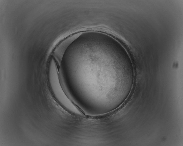 X0000091181506200708231516