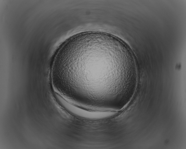 X0000091181507200708231516