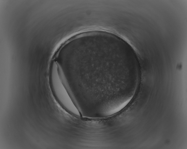 X0000091181508200708231516