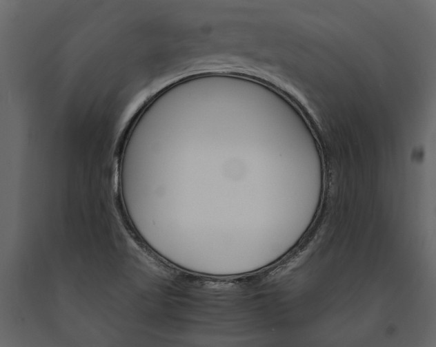 X0000091181509200708231516