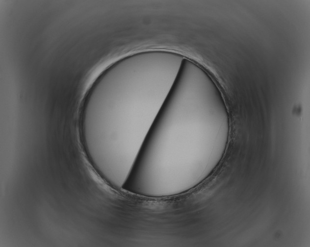 X0000091181511200708231516