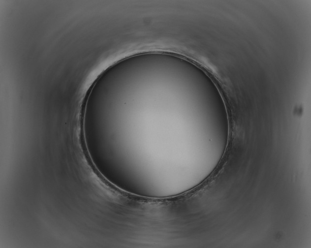 X0000091181512200708231516