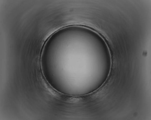 X0000091181513200708231516