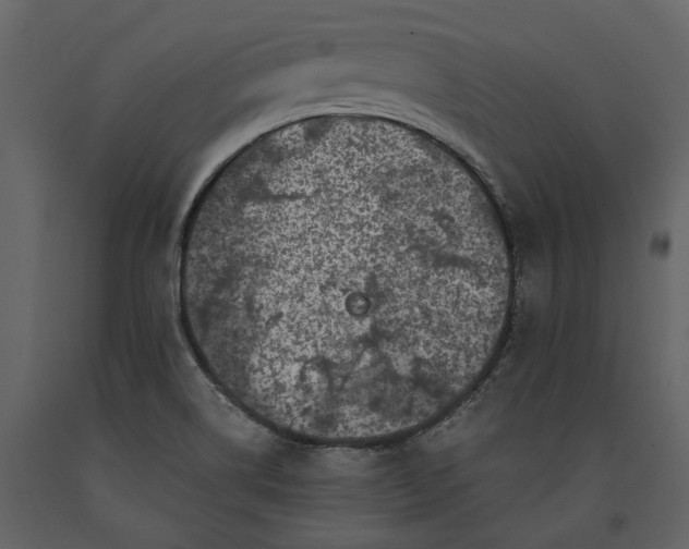 X0000091181514200708231516
