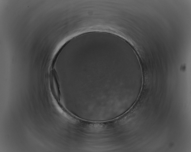 X0000091181515200708231517