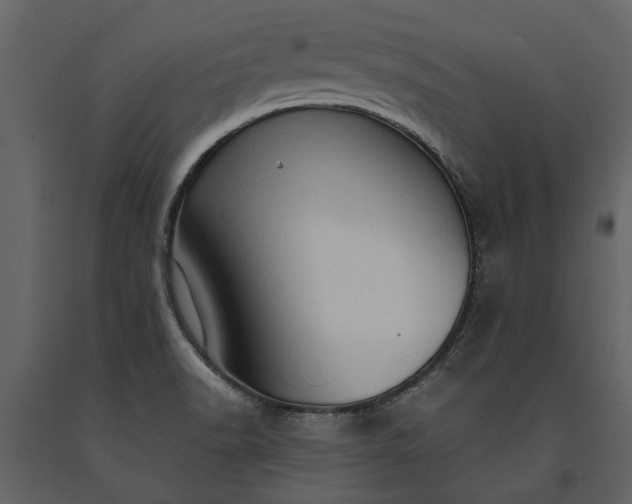 X0000091181518200708231517