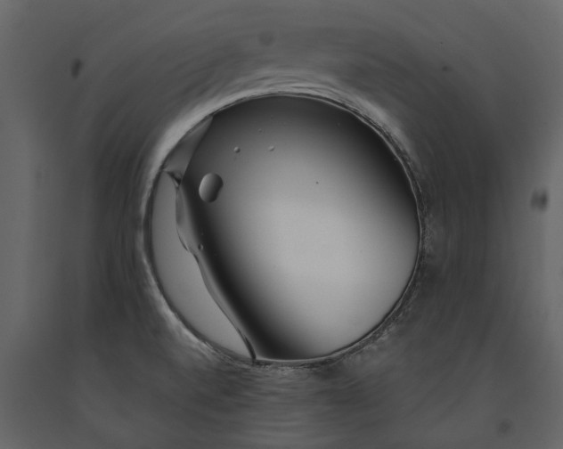 X0000091181520200708231517