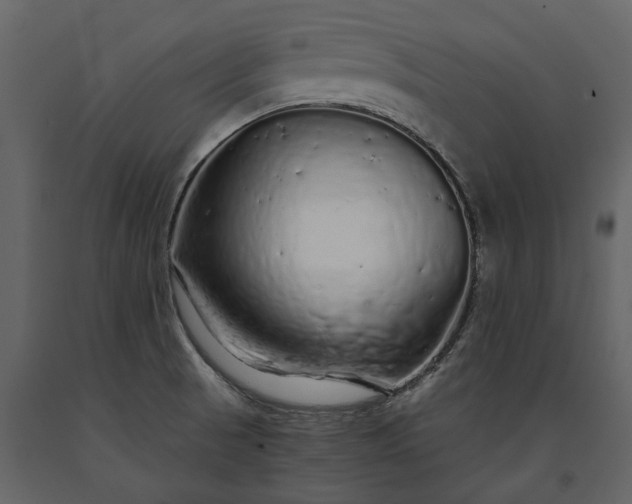 X0000091181521200708231517