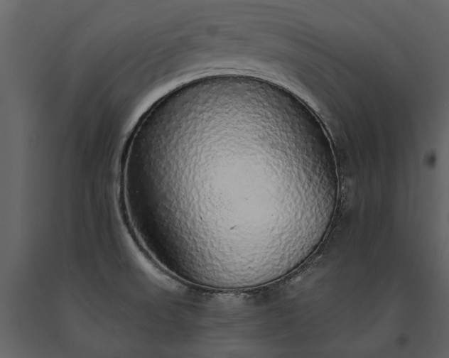 X0000091181523200708231517