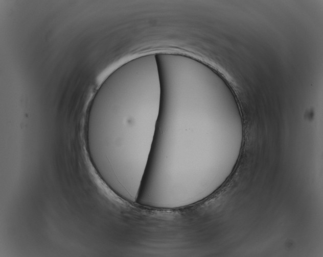 X0000091181526200708231517
