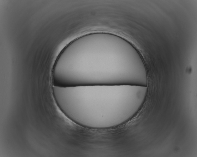 X0000091181527200708231517