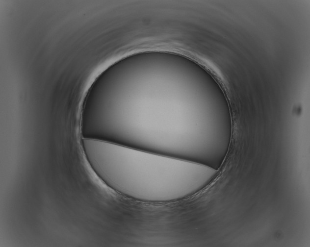 X0000091181528200708231517