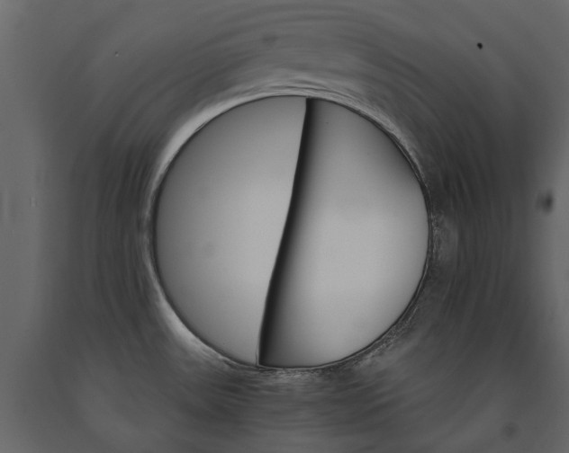 X0000091181531200708231517