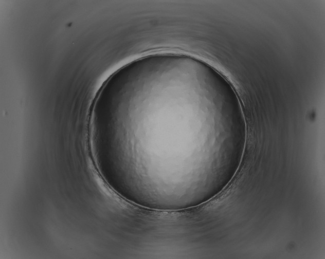 X0000091181534200708231517