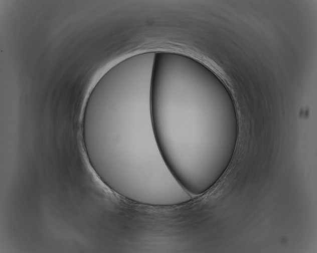 X0000091181536200708231517