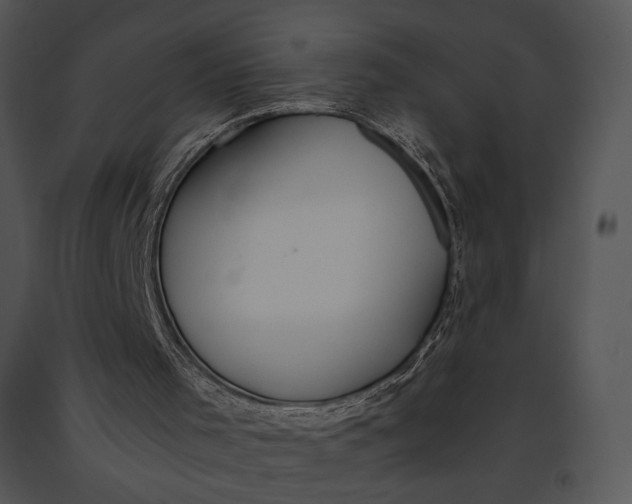 X0000091180001200708301226