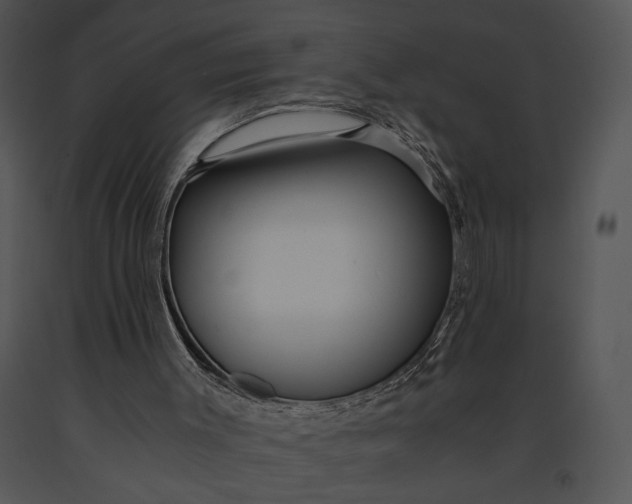 X0000091180003200708301226