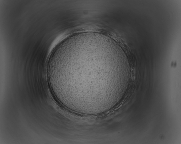 X0000091180004200708301226