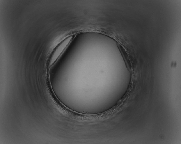 X0000091180005200708301226